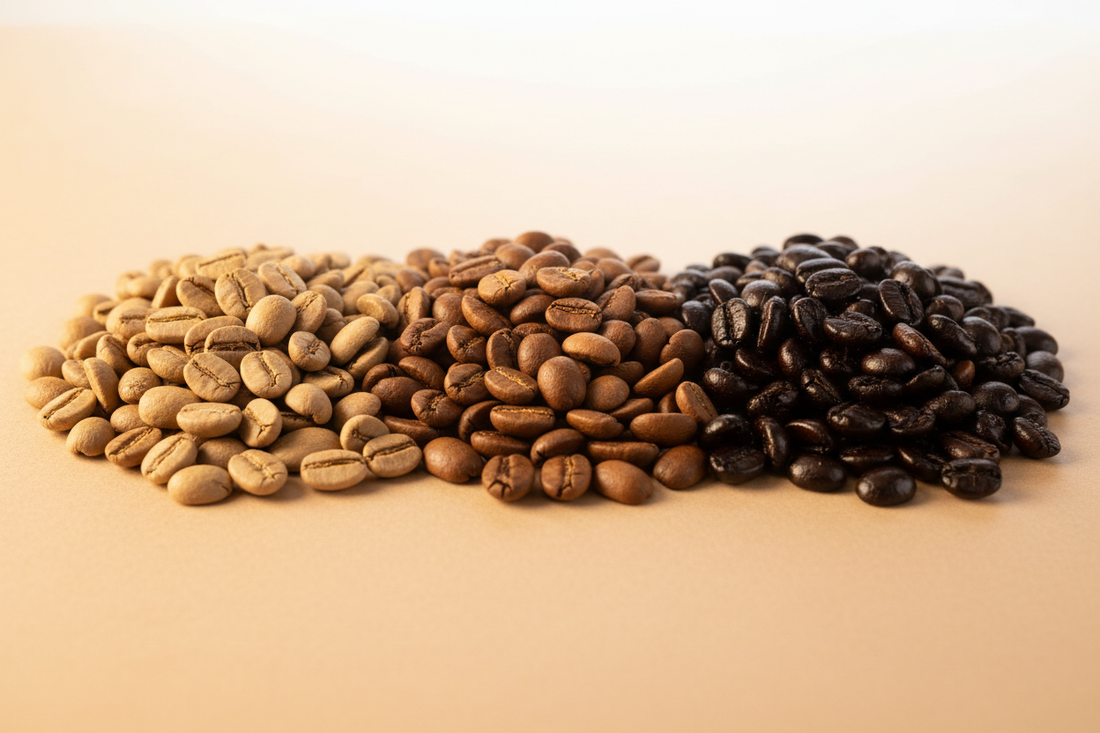 Light vs Medium vs Dark Roast — Which One Is Yours?